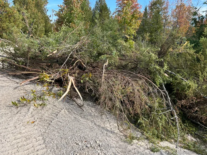 Brush pile on gravel after clearing