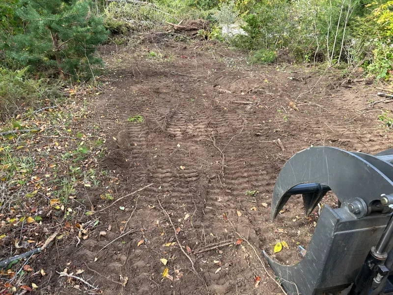 Cleared ground beside a skid steer after brush removal