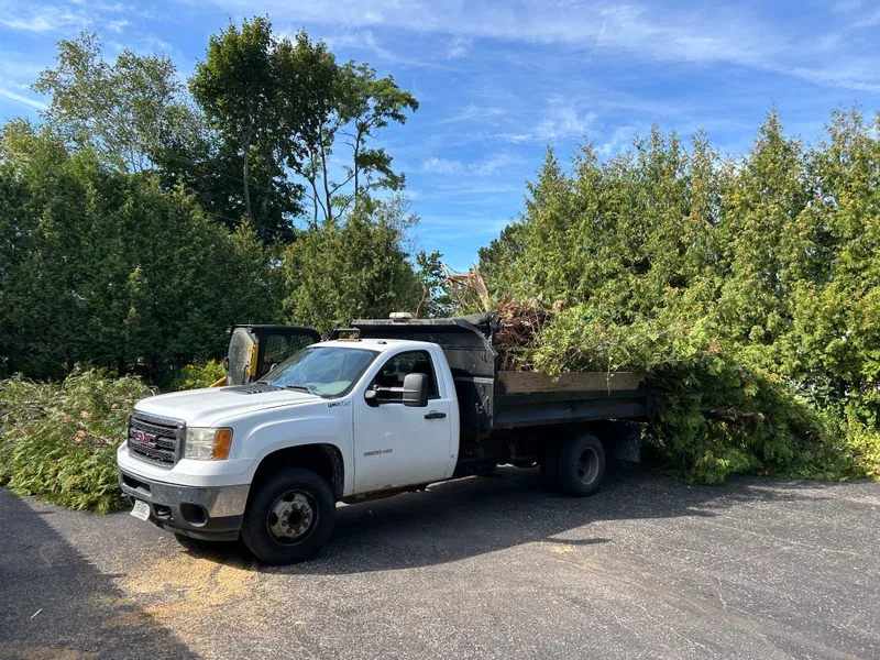 Dump truck loaded with cut brush ready for hauling