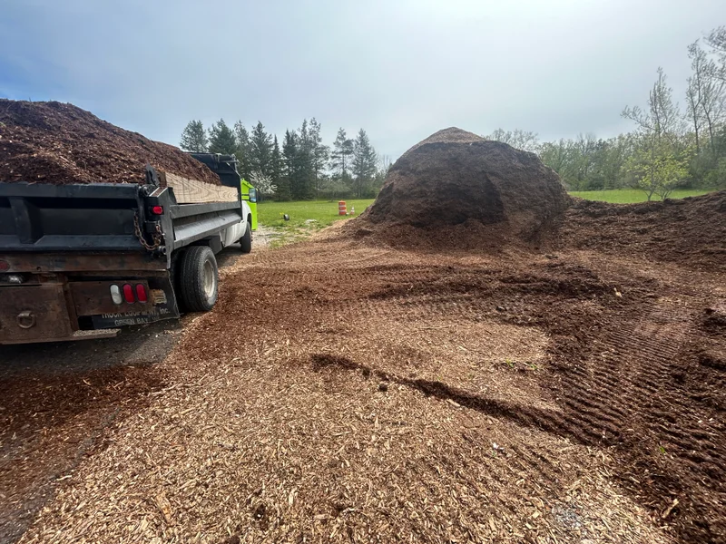 Dump truck and mulch piles on a gravel lot ready for spreading