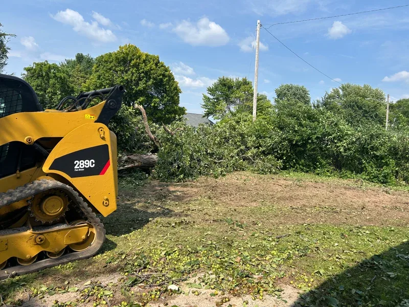Skid steer clearing brush and leaving bare ground behind