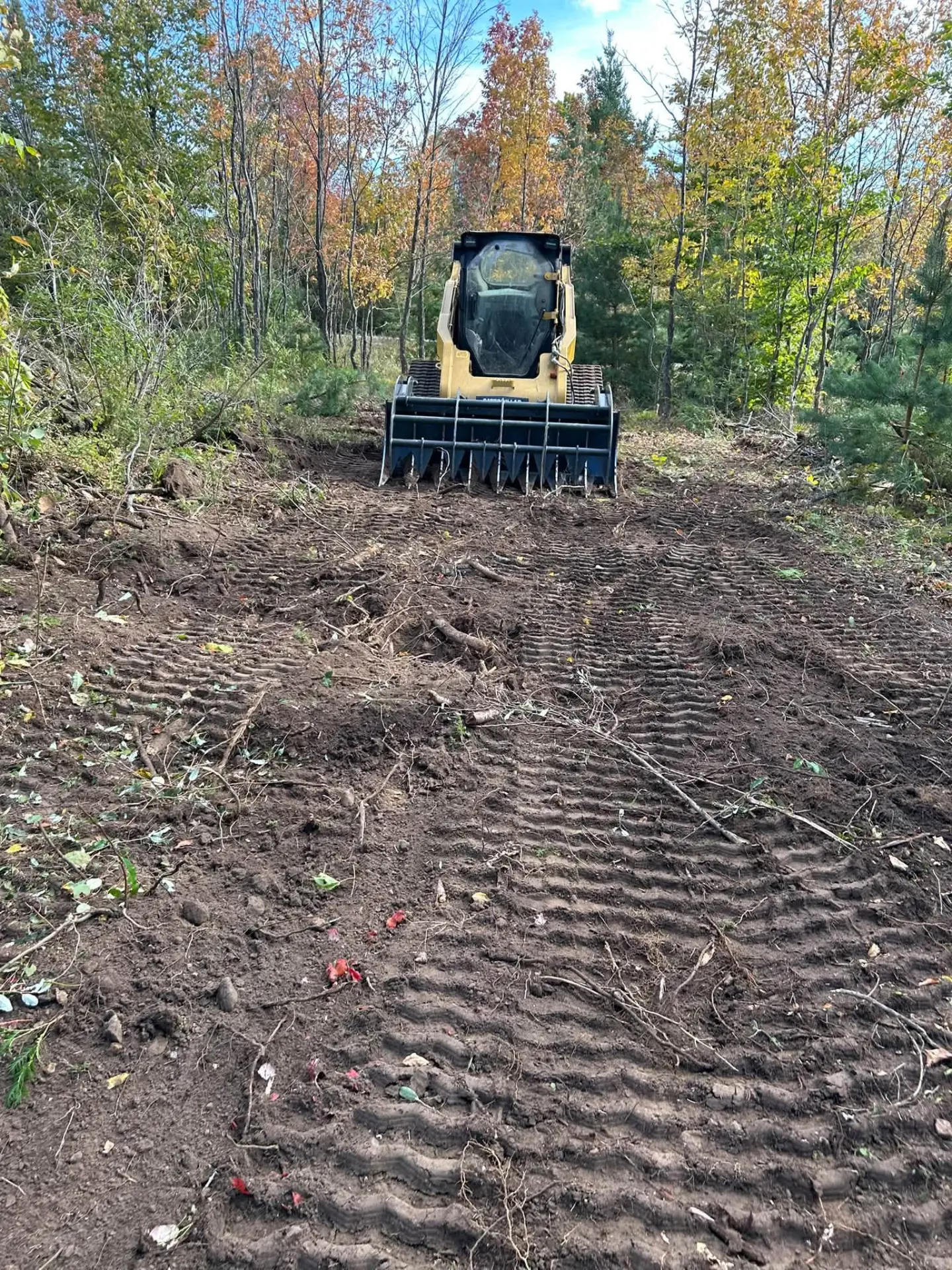 Skid steer working among autumn trees during land clearing