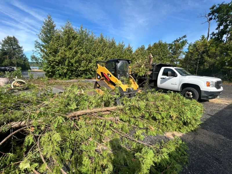 Skid steer and dump truck beside piles of cut brush