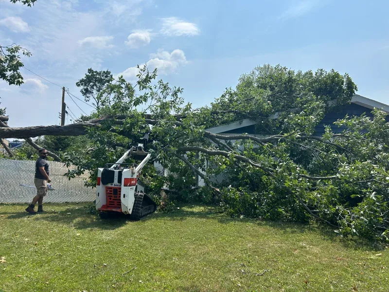 Mini skid steer working on a large tree fallen against a house