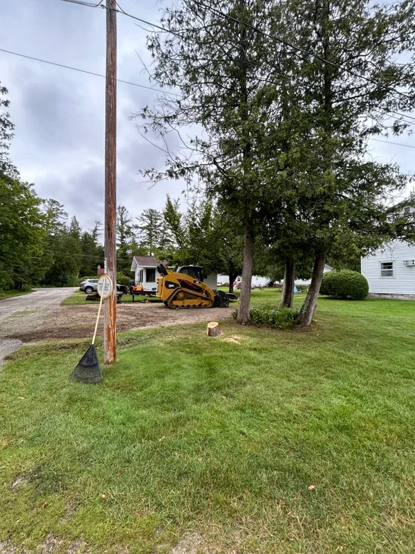 Skid steer working beside freshly cut tree trunks on a lawn