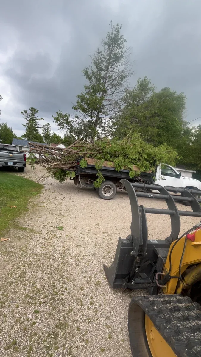 Truck loaded with cut branches and brush beside a tree
